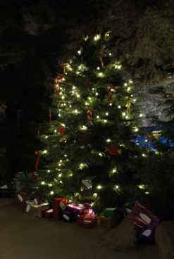 Caves - Christmas tree 1