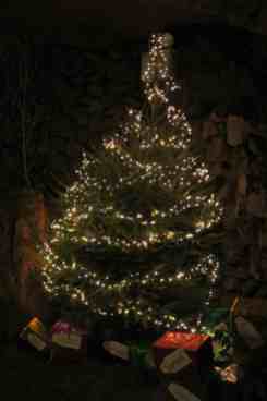 Caves - Christmas tree 2