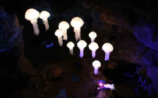 Caves - jellyfish 1